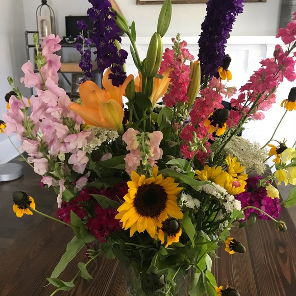 Meet your Posher, Bethany - Picture 1 of 1